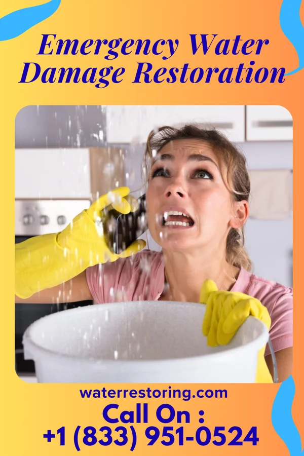 Emergency Water Damage Restoration in Viroqua, WI